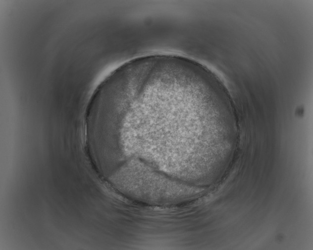 X0000094201271200711241629