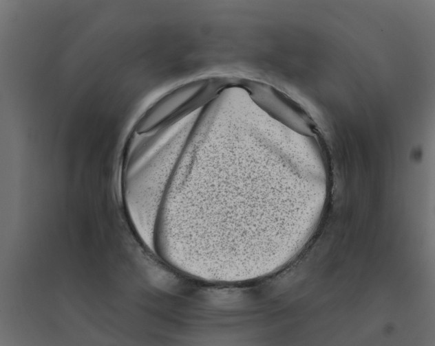 X0000094201272200711241629