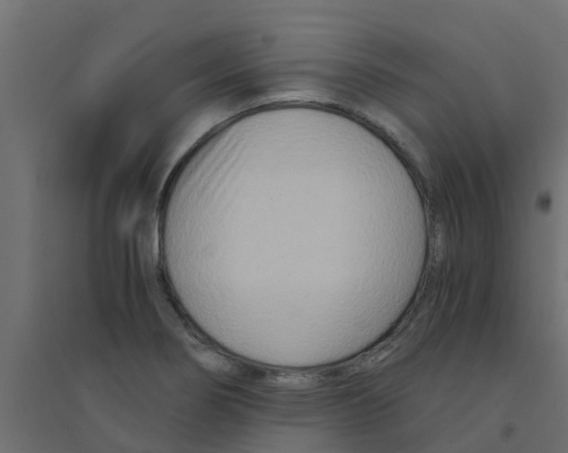 X0000094201274200711241629