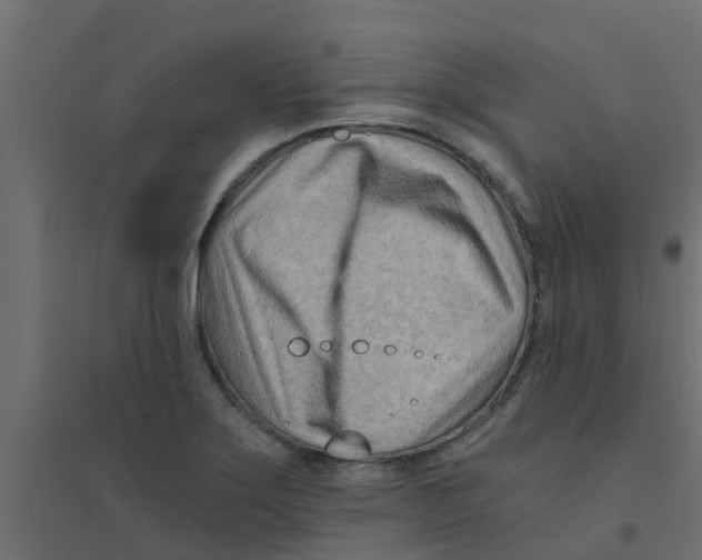 X0000094201275200711241629