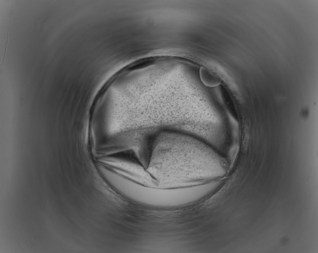 X0000094201276200711241629