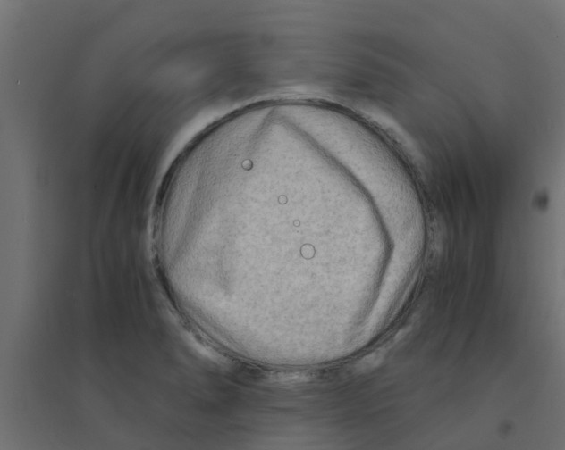 X0000094201278200711241629