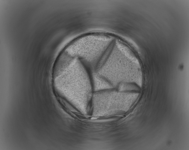 X0000094201279200711241629