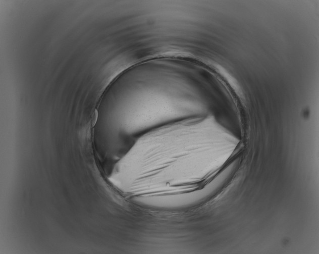 X0000094201281200711241629