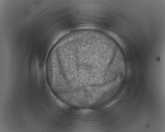 X0000094201282200711241629