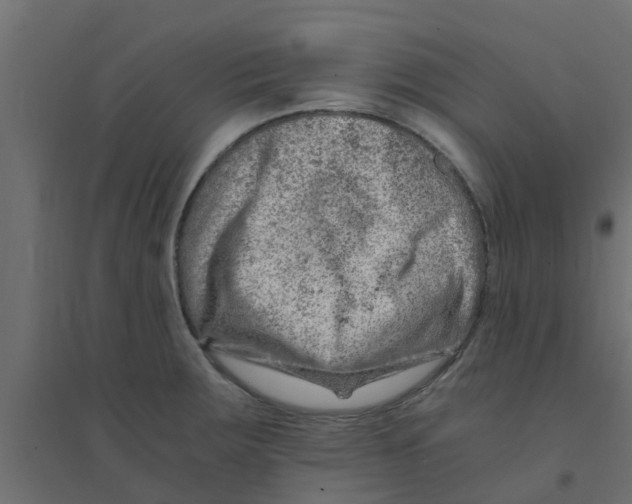 X0000094201283200711241629