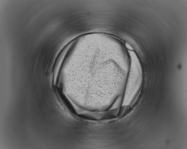 X0000094201284200711241629