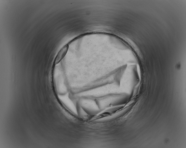 X0000094201285200711241629