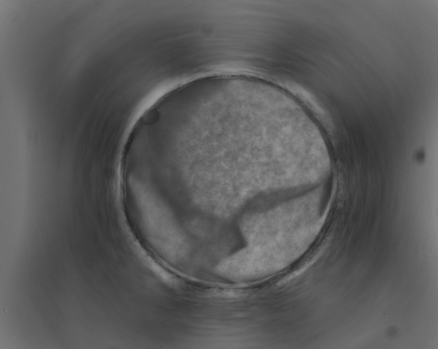 X0000094201286200711241629