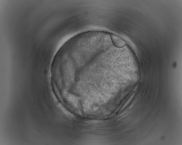 X0000094201287200711241629