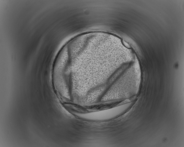 X0000094201288200711241629