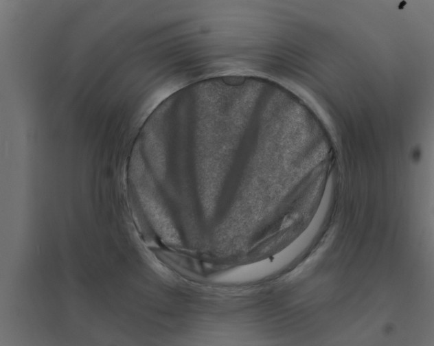 X0000094201289200711241629