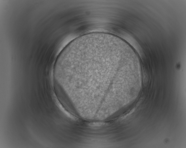 X0000094201290200711241629