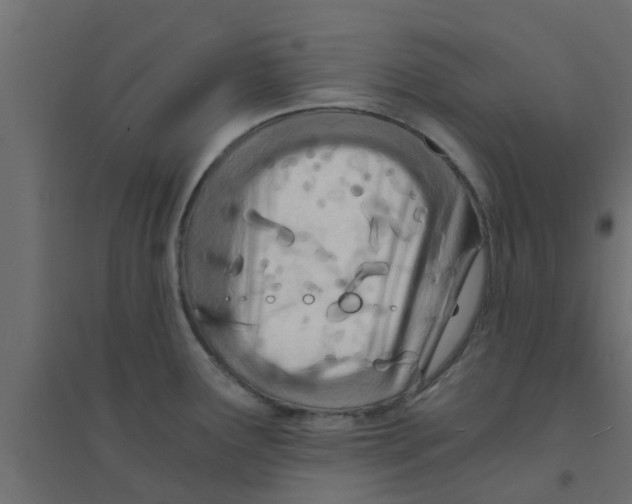 X0000094201291200711241629