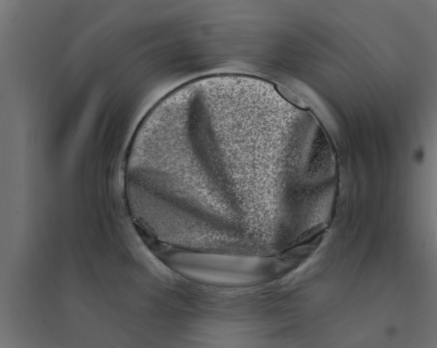 X0000094201292200711241629