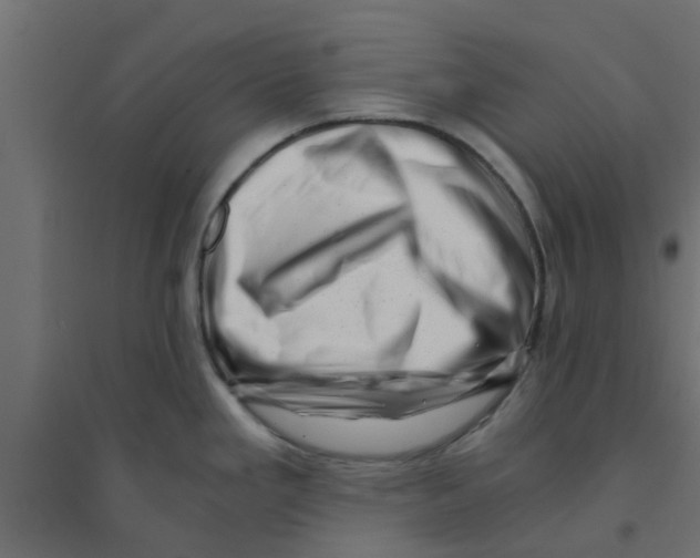 X0000094201293200711241629