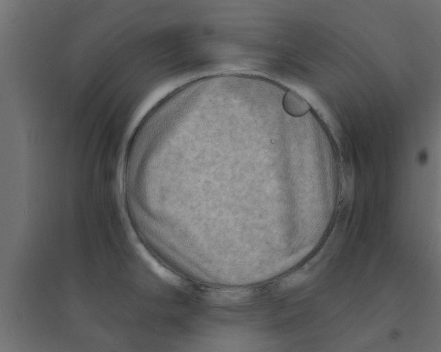 X0000094201294200711241629