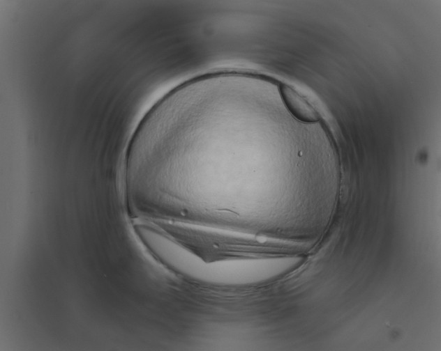 X0000094201295200711241629