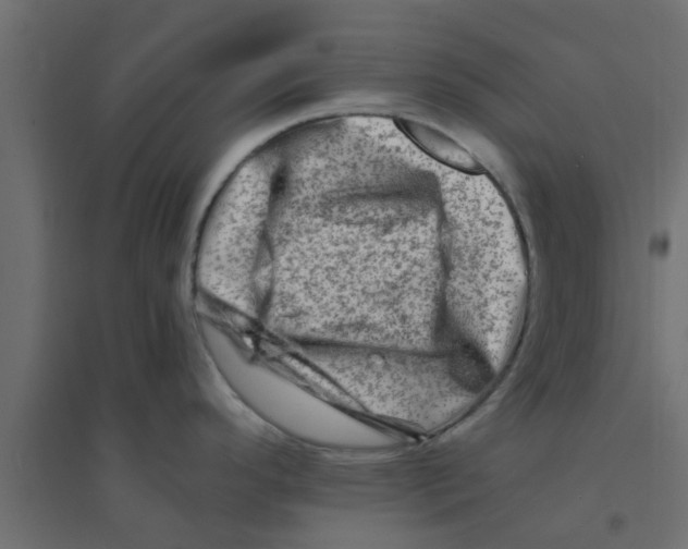 X0000094201296200711241629