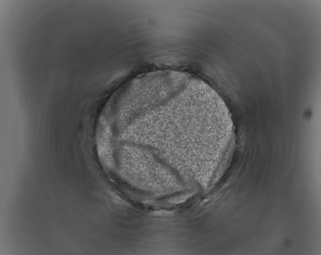 X0000094201297200711241628