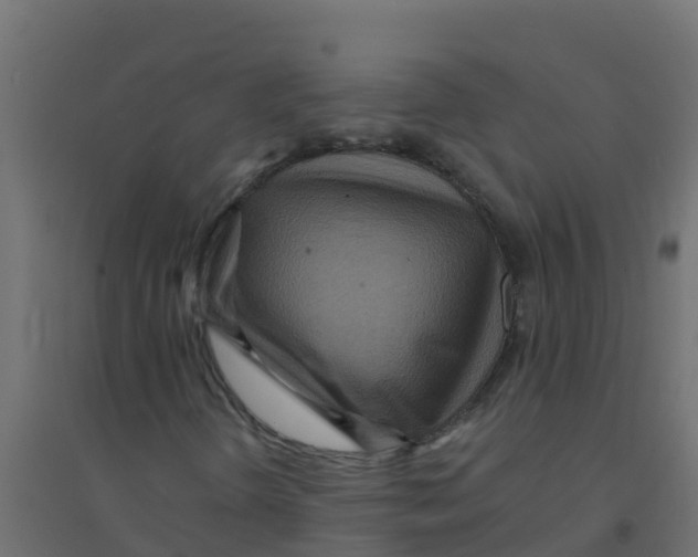 X0000094201298200711241628