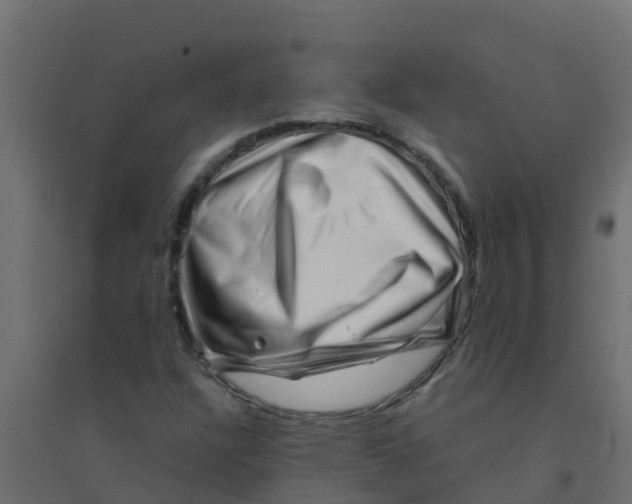 X0000094201304200711241628