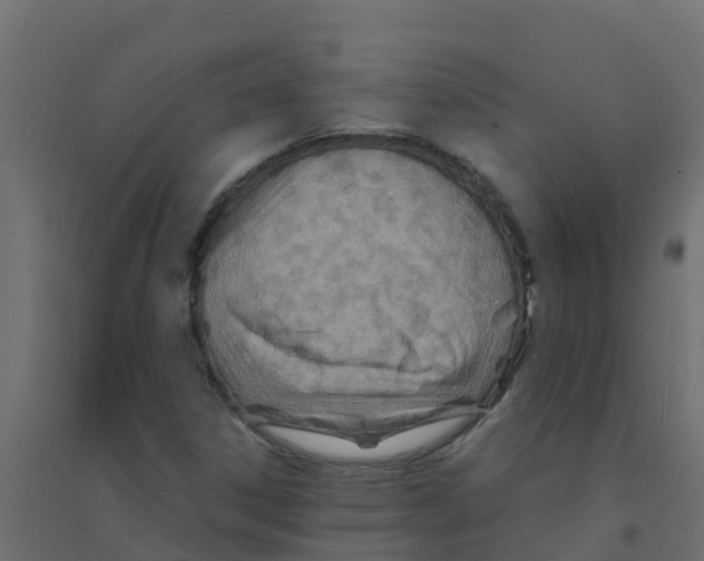 X0000094201306200711241628