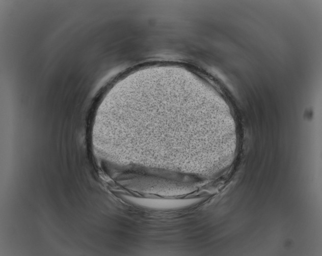 X0000094201307200711241628