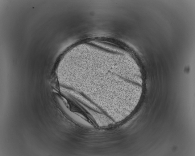 X0000094201309200711241628