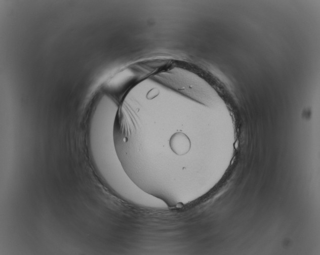 X0000094201310200711241628