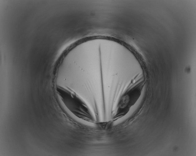 X0000094201312200711241628