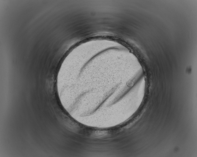 X0000094201313200711241628