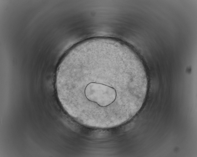 X0000094201314200711241628