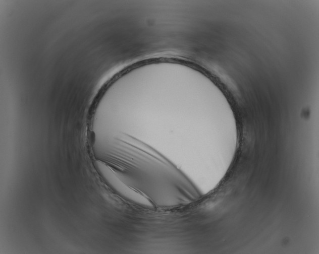 X0000094201316200711241628