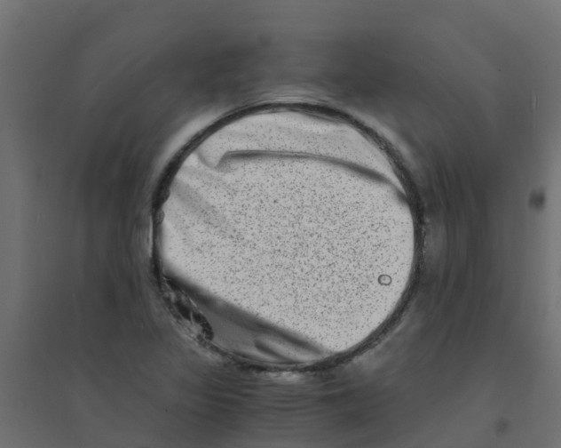 X0000094201317200711241628