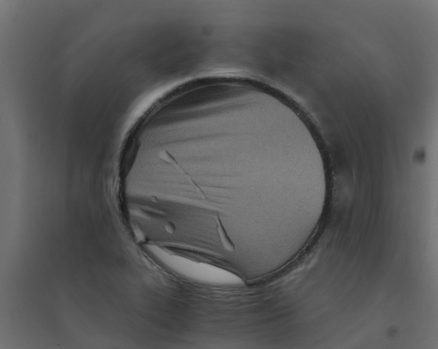 X0000094201319200711241628