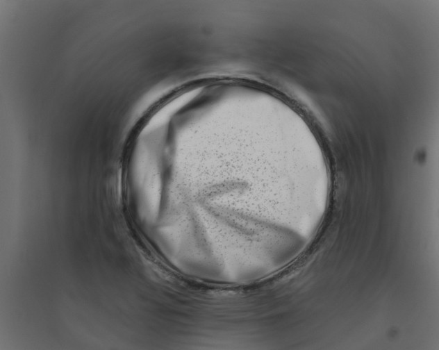 X0000094201320200711241628