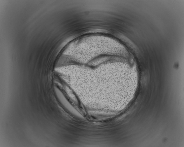 X0000094201321200711241628