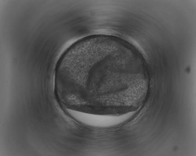 X0000094201323200711241628