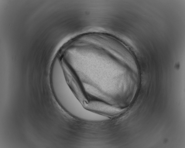 X0000094201326200711241628