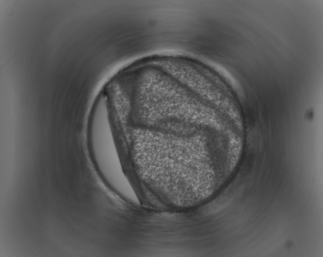 X0000094201327200711241629