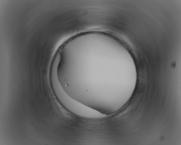 X0000094201328200711241629