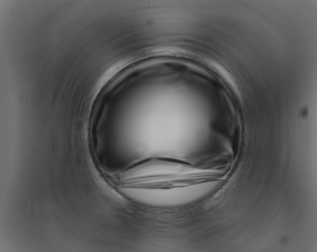 X0000094201330200711241629