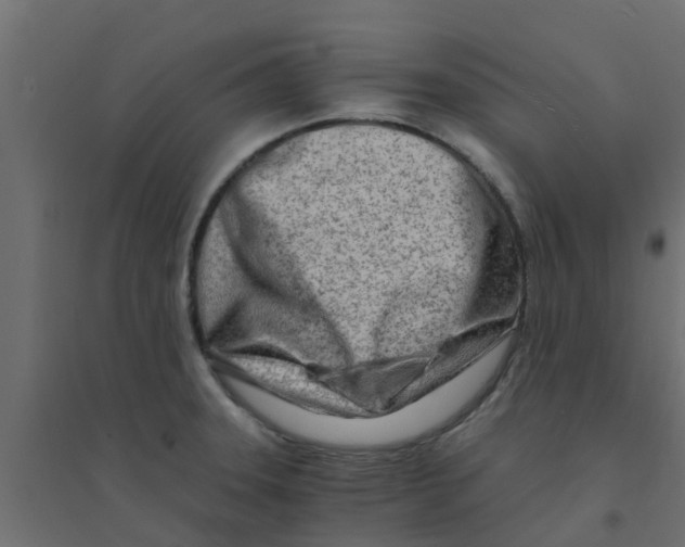 X0000094201331200711241629