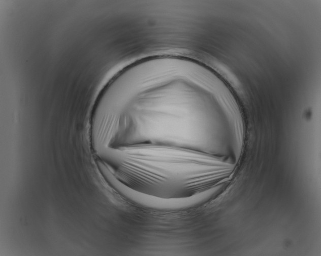 X0000094201332200711241629