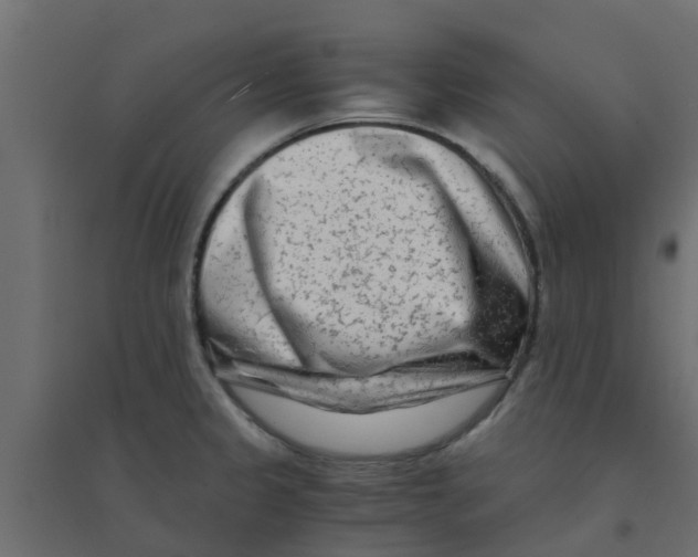 X0000094201333200711241629