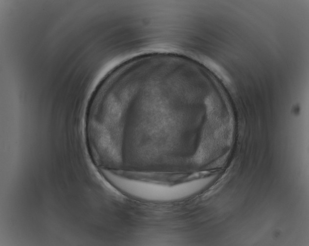 X0000094201334200711241629