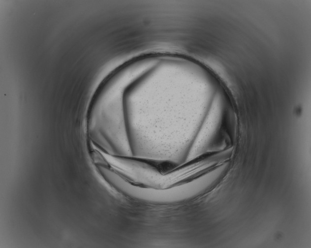 X0000094201335200711241629