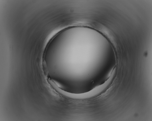 X0000094201336200711241629