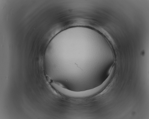 X0000094201337200711241629